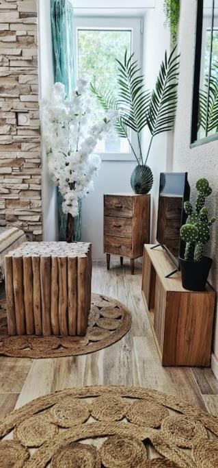 #New#Terrasse Sud Ouest#Pied De La Cite #1 Apartment Carcassonne Bagian luar foto