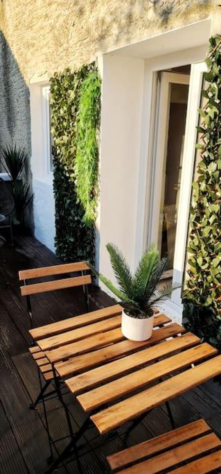 #New#Terrasse Sud Ouest#Pied De La Cite #1 Apartment Carcassonne Bagian luar foto