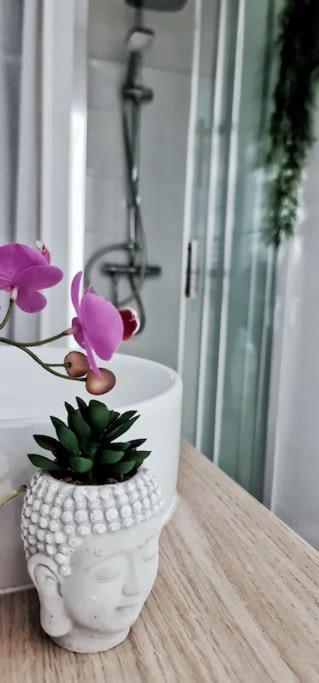 #New#Terrasse Sud Ouest#Pied De La Cite #1 Apartment Carcassonne Bagian luar foto