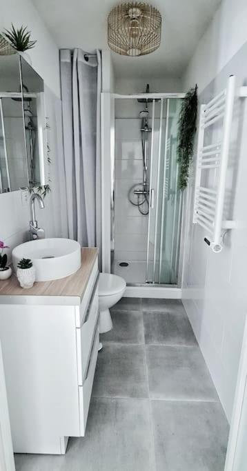 #New#Terrasse Sud Ouest#Pied De La Cite #1 Apartment Carcassonne Bagian luar foto